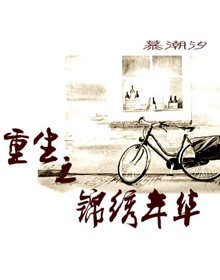 重生之锦绣年华