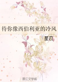 待你像西伯利亚的冷风
