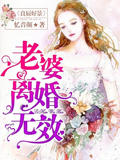 良辰好景,老婆,离婚无效!