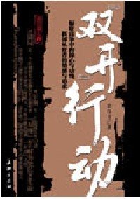 双开行动
