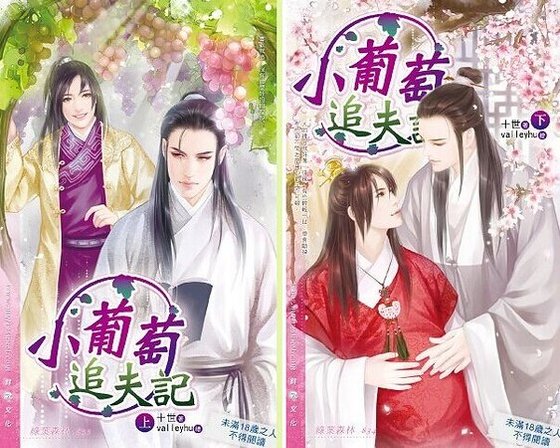 小葡萄追夫记(出书版)