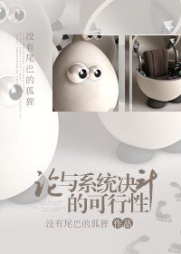 《(系統)論與系統決鬥的可行性》