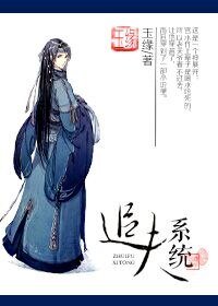 追夫系统