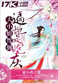 大小姐驾到之遍地是炮灰-邪王宠妻:庶女为凰