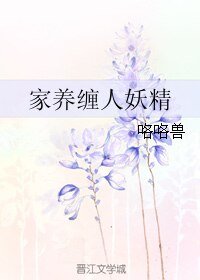 家养缠人妖精