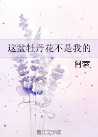 这盆牡丹花不是我的