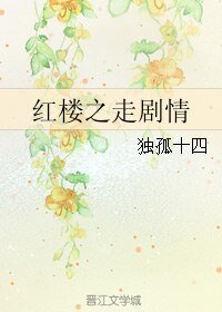 (红楼同人)红楼之走剧情