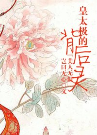 （美人无泪同人）皇太极的背后灵