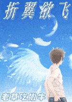 《折翼欲飞》