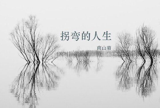 （综电视剧同人）拐弯的人生