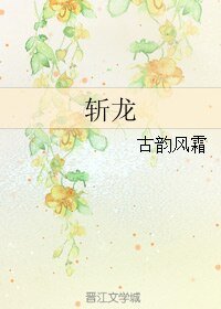 （霹雳同人）斩龙