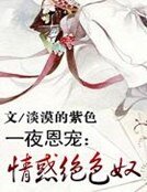 一夜恩寵:情惑絕色奴