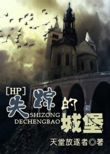 (HP同人)失蹤的城堡