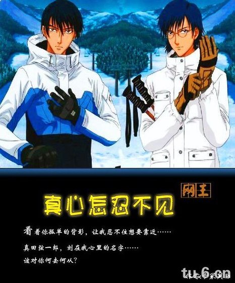 (网王同人)真心怎忍不见忍真