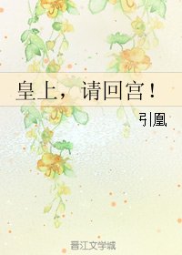 《皇上,请回宫! 》
