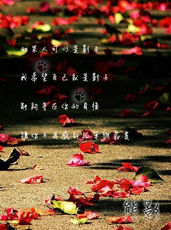 熊影