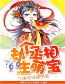劫个丞相生萌宝