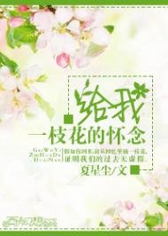 给我一枝花的怀念