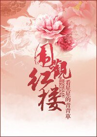 （红楼同人）围观红楼