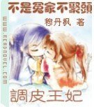 不是冤家不聚头：调皮王妃