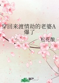 穿回来渡情劫的老婆A爆了