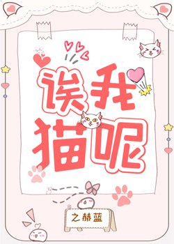 誒我貓呢