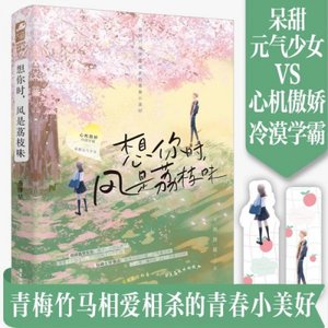《想你时,风是荔枝味(出书版)》