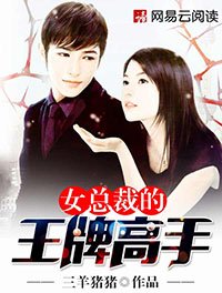 女总裁的王牌高手