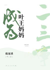 《(BG/综漫同人)成为叶王妈妈的二三事》