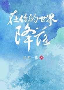 《在你的世界降落》