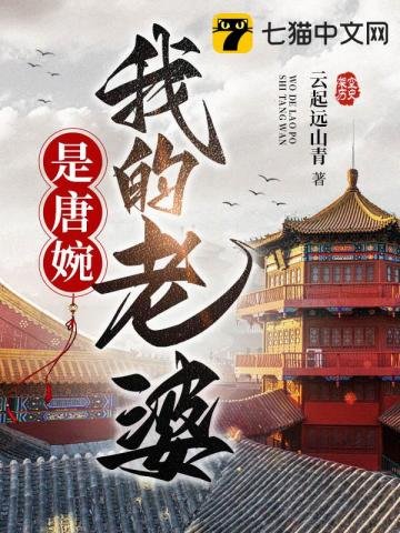 《我的老婆是唐婉》