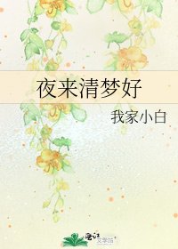 夜来清梦好