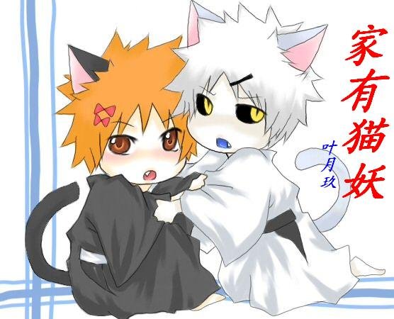 (死神白一同人)家有猫妖