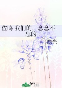 《佐鸣 我们的,念念不忘的》