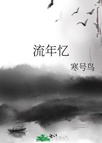 流年忆