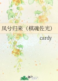 凤兮归来(棋魂佐光)