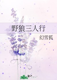 野狼三人行