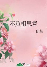 不负相思意