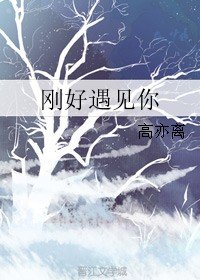刚好遇见你