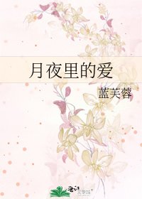 月夜里的爱