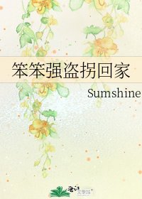 笨笨强盗拐回家