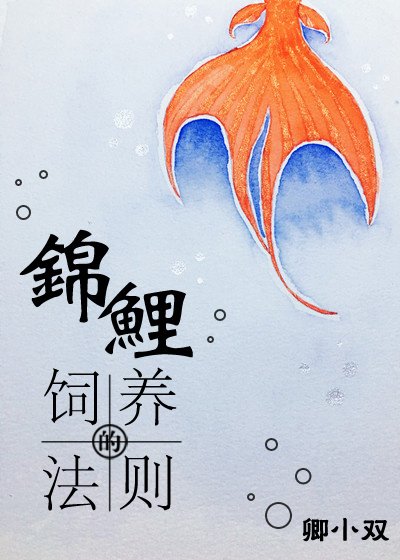 錦鯉的飼養法則