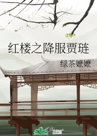 轰樓之降伏賈璉