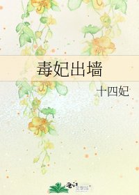 毒妃出墙