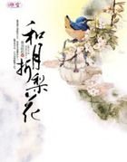 风月栖情:和月折梨花