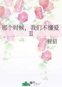 那个时候，我们不懂爱Ⅱ