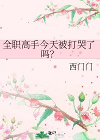 《【全职高手】今天被打哭了吗?》