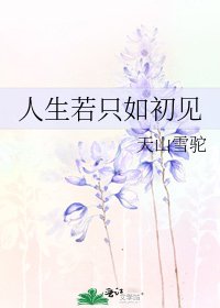 人生若只如初見