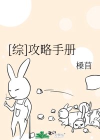 [综]攻略手册