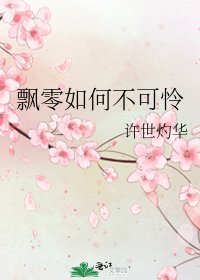 飘零如何不可怜